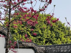 -乌山风景区