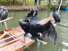 -溱湖国家湿地公园