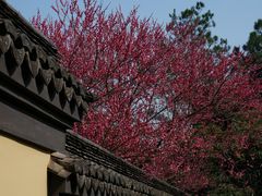 -慧因高丽寺