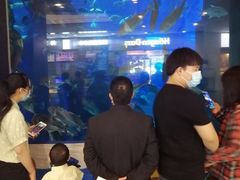 -成都浩海立方海洋公园