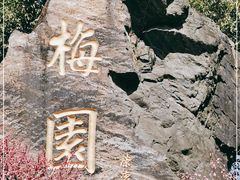 -无锡梅园公园