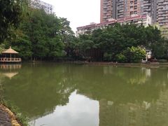 -四海公园(南山区)