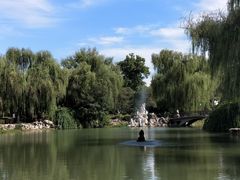 -西苑公园