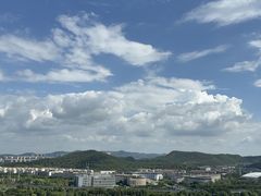 -羊山湖公园