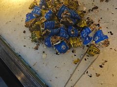 -圣罗巴海鲜烤肉自助(佳兆业店)