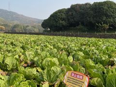 -八卦田遗址公园