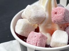 -JW德国冻酸奶Frozen Yogurt(龙湖成都滨江天街店)