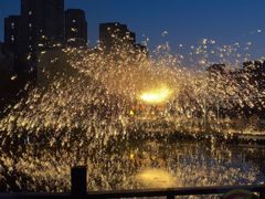 -海合安武汉极地海洋公园