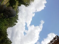 -罗布林卡