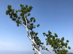 -少华山国家森林公园
