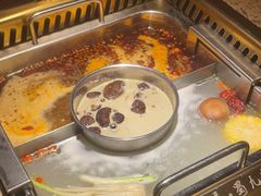 -蜀九鼎毛肚火锅(惠安店)