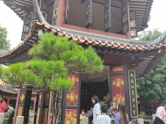 -碧江金楼