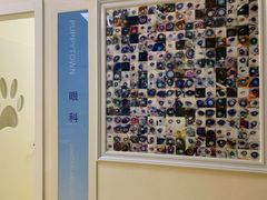 -芭比堂动物医院·犬猫全科·异宠专科(雁塔分院)