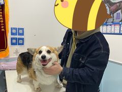 -爱诺动物医院(崂山店)