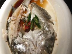 葱椒鲈鱼-绿茶餐厅(领展购物广场·中关村店)