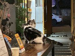 -泰·菩提树下[泰式按摩x精油SPAx肩颈头疗](新景店)