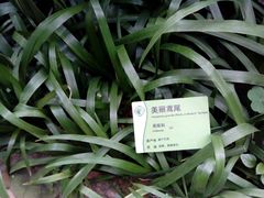 -华南国家植物园-售票处