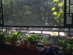 -清心素食自助餐厅(夫子庙店)