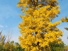 -白鹭湾湿地公园