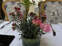 -蝶舍·MAISON PAPILLON