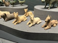 -广西壮族自治区博物馆