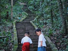 -都江堰普照寺