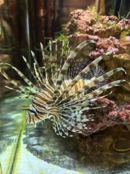 -Zoolung Zoolung动物主题公园(海信广场店)