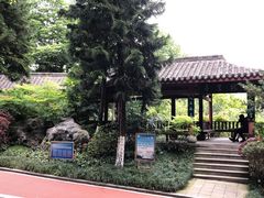-龙头寺公园