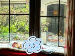 -芙蓉花月子会所(朝阳区店)
