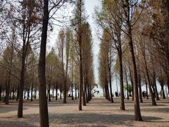 -捞渔河湿地公园