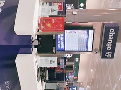 -米兰马尔彭萨国际机场