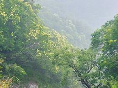 -阳台山自然风景区