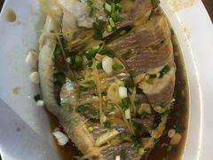 -绿光森林餐厅