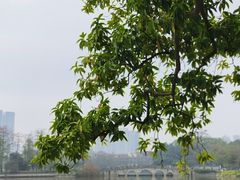 -东山湖公园