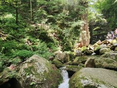 -五女峰国家森林公园