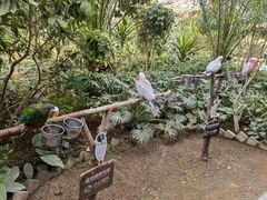 -南宫五洲植物乐园