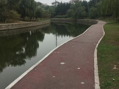 -四里河滨水生态公园