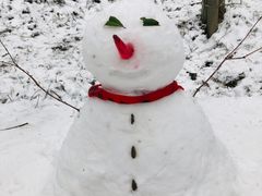 -武陵山森林公园