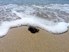 -西涌国际滨海旅游区