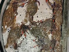 -老虎滩船说·大连海鲜(老虎滩店)