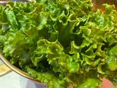 -杨记齐齐哈尔烤肉(总店)