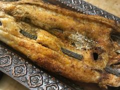 -新疆风味冷水鱼庄(友谊峰路店)