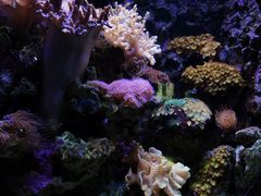 -南昌海洋公园