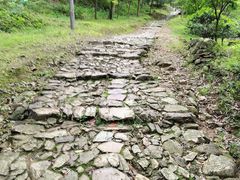 -仙霞关景区