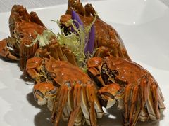 -阳澄湖费尔蒙酒店颐丰阁中餐厅(马鞍山西路店)