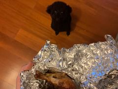 -丽都DELICATESSEN熟食店