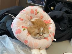 -美联众合24小时·皮肤科·外科·全科诊疗中心(华苑分院)