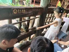 -长鹿旅游休博园