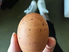 -网易食堂