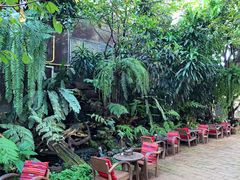 -Fern Forest Cafe